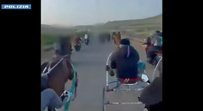 Investigan una carrera clandestina de caballos con disparos de kalashnikov en Sicilia