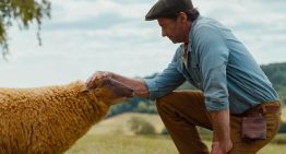 “The Sheep Detectives”: el inesperado misterio familiar que sorprende en cines