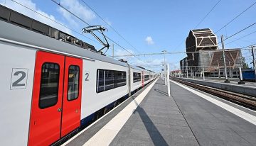 Un canguro a la fuga interrumpe parte del servicio ferroviario en Bélgica