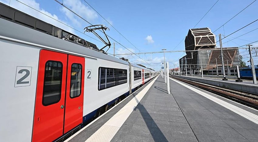 Un canguro a la fuga interrumpe parte del servicio ferroviario en Bélgica