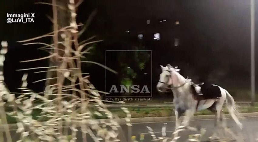 Tres heridos tras escaparse 30 caballos asustados por unos fuegos artificiales en Roma