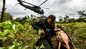 Al menos 16 muertos y 73 heridos en un incendio en un internado de niñas en Kenia