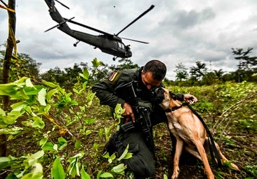Un enfrentamiento entre las disidencias de las FARC deja decenas de muertos en Colombia a tres días de las elecciones