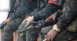 Chile, Argentina, Perú, Bolivia y Ecuador se unen para luchar contra el crimen organizado transnacional