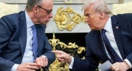 Merz, el «canciller de papel» tras un año al frente de Alemania