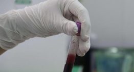 Más de un millón de personas donaron sangre y plasma en España durante 2025
