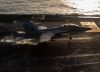 Un piloto del F-15 estadounidense derribado dice que vio un enjambre de drones iraníes con forma de medusa