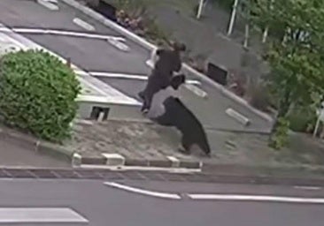 Tokio actúa ante los ataques de osos: repartirá cientos de espráis repelentes en los colegios