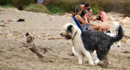 Una playa de Cerdeña prohíbe las sombrillas para personas entre los 10 y los 65 años