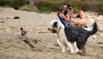 Una playa de Cerdeña prohíbe las sombrillas para personas entre los 10 y los 65 años
