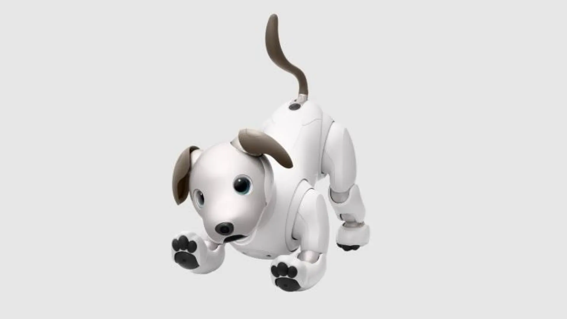 Sony detiene la venta de su icónico perro robot Aibo en Japón para centrarse en la IA física