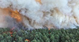 Un incendio devora más de 800 hectáreas en  Fontainebleau y afecta los accesos a París