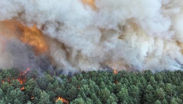 Un incendio devora más de 800 hectáreas en  Fontainebleau y afecta los accesos a París
