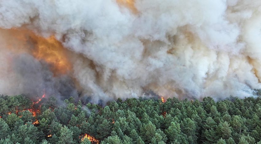 Un incendio devora más de 800 hectáreas en  Fontainebleau y afecta los accesos a París