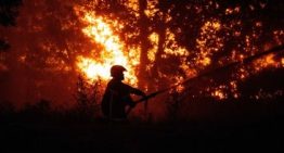 Casi 200.000 franceses desalojados por el fuego que ya ha arrasado 98.000 hectáreas este año