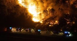 Francia consigue contener el megaincendio en Gironda al mejorar las condiciones meteorológicas