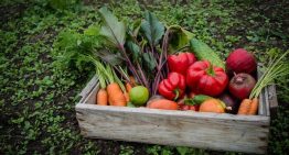 La dieta mediterránea vegana puede mejorar el colesterol y el dolor en mujeres con fibromialgia