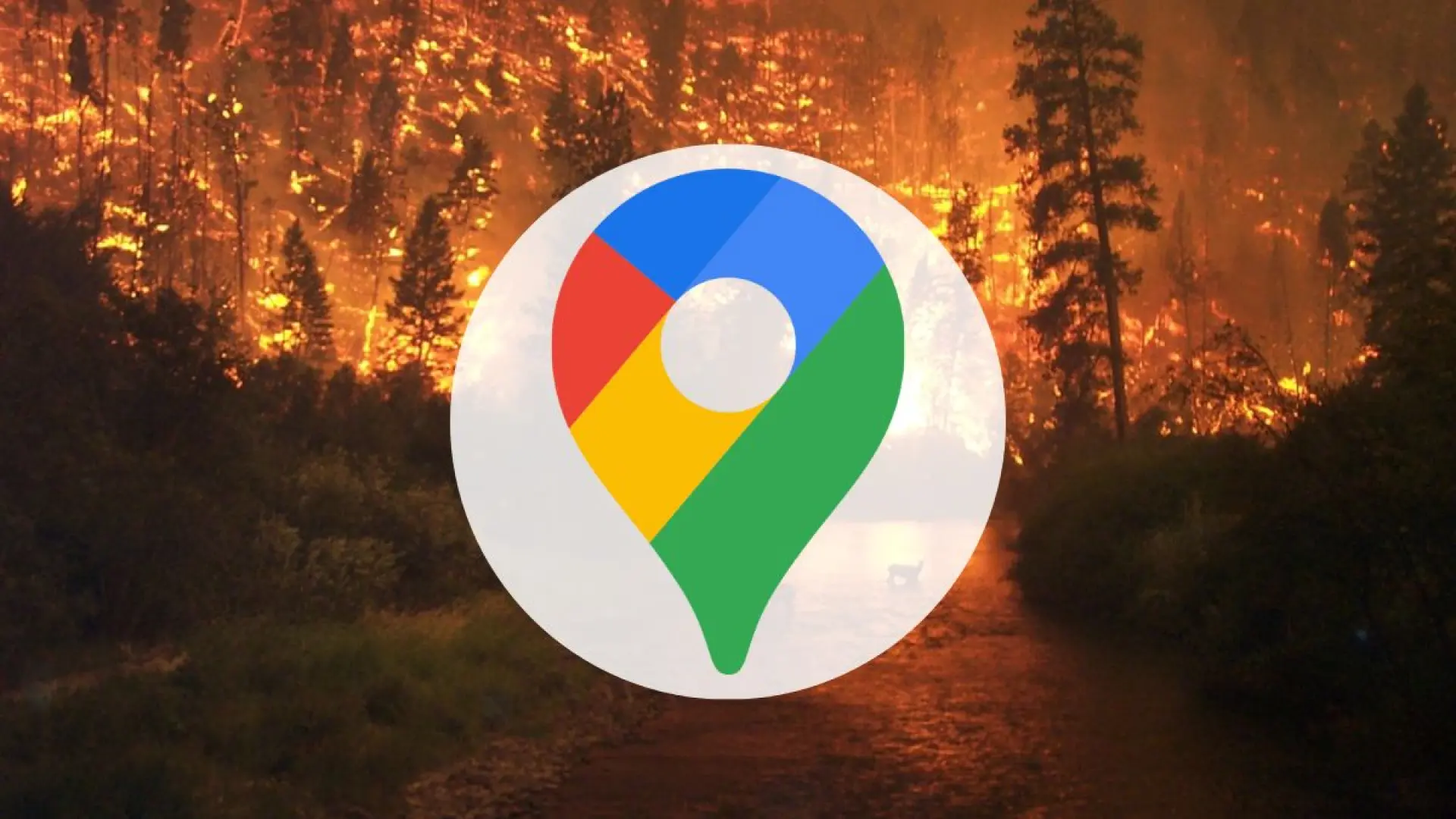 Incendio en Almería: consulta la evolución del fuego en tiempo real con esta función de Google Maps