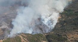 Un incendio en un bloque de pisos de Amberes deja al menos 6 muertos