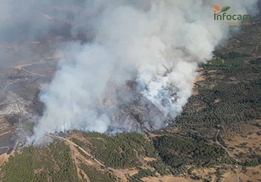 Un incendio en un bloque de pisos de Amberes deja al menos 6 muertos