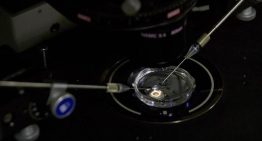 Escándalo científico: China oculta la muerte de una niña que recibió una terapia génica experimental de 860.000 dólares