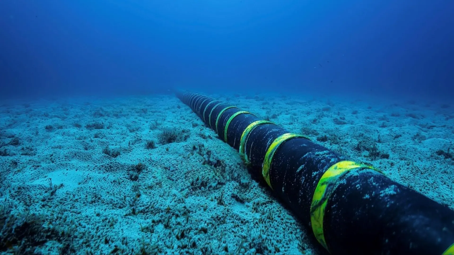 La nueva autopista de internet de Google irá bajo el océano: tres cables submarinos conectarán América y Europa