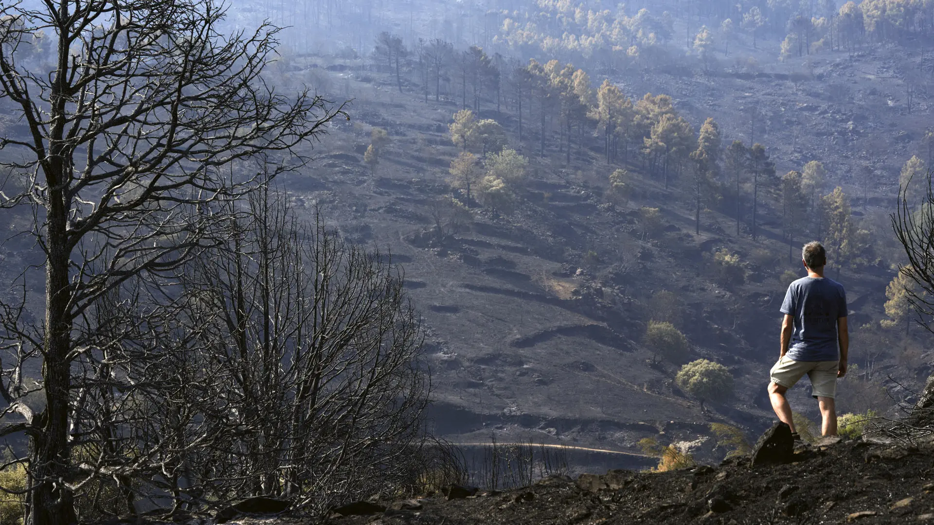 El día después del fuego en Ávila: el reto de salvar al turismo para reactivar la economía local