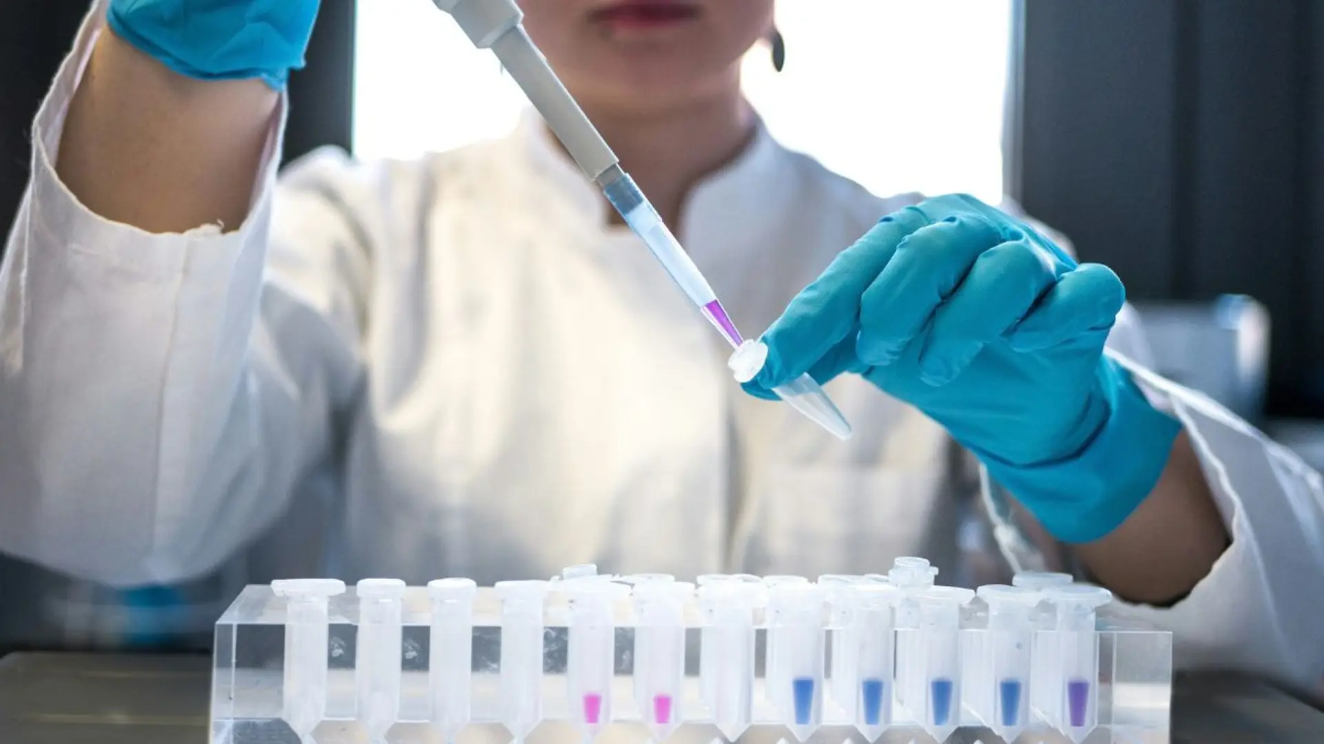 Una IA crea virus inexistentes en la naturaleza capaces de infectar y destruir bacterias