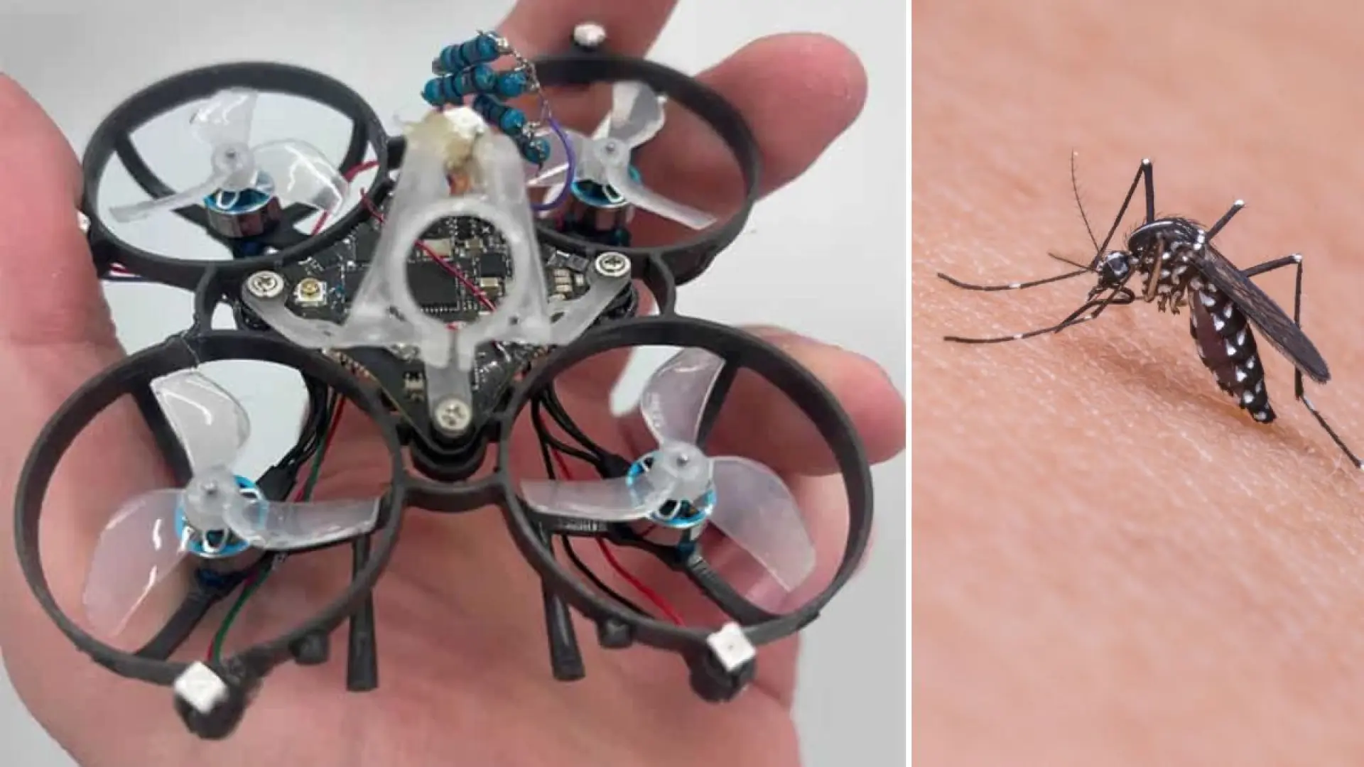Ni repelentes ni insecticidas: este dron patrulla el hogar para detectar y erradicar mosquitos