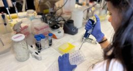 La vacuna contra el melanoma despierta esperanzas entre los expertos: Volvería a dar un giro a la oncología