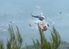 Muere el jefe de inteligencia de Ecuador, su esposa y cinco estudiantes en un accidente de helicóptero en Kenia
