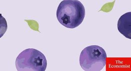 Olvídese del oro y del cobre: el último auge de África se centra en los arándanos y las naranjas