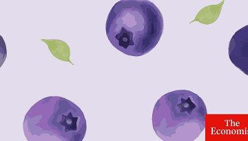Olvídese del oro y del cobre: el último auge de África se centra en los arándanos y las naranjas