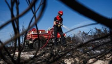 Los incendios de Grecia se intensifican y se acercan cada vez más hacia Atenas