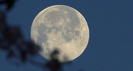¿Cuándo hay Luna llena? Día y hora para ver la Luna de la cosecha