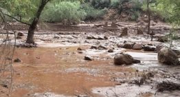 Dos muertos y varios heridos en un tiroteo en Mineápolis