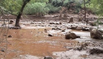Dos muertos y varios heridos en un tiroteo en Mineápolis