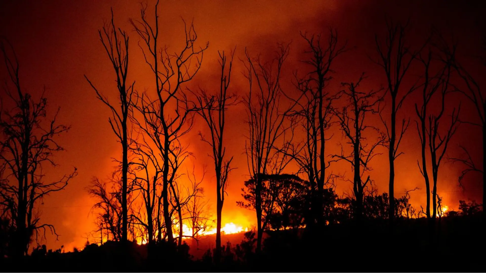 La ESA propone una constelación de satélites con IA para detectar incendios forestales
