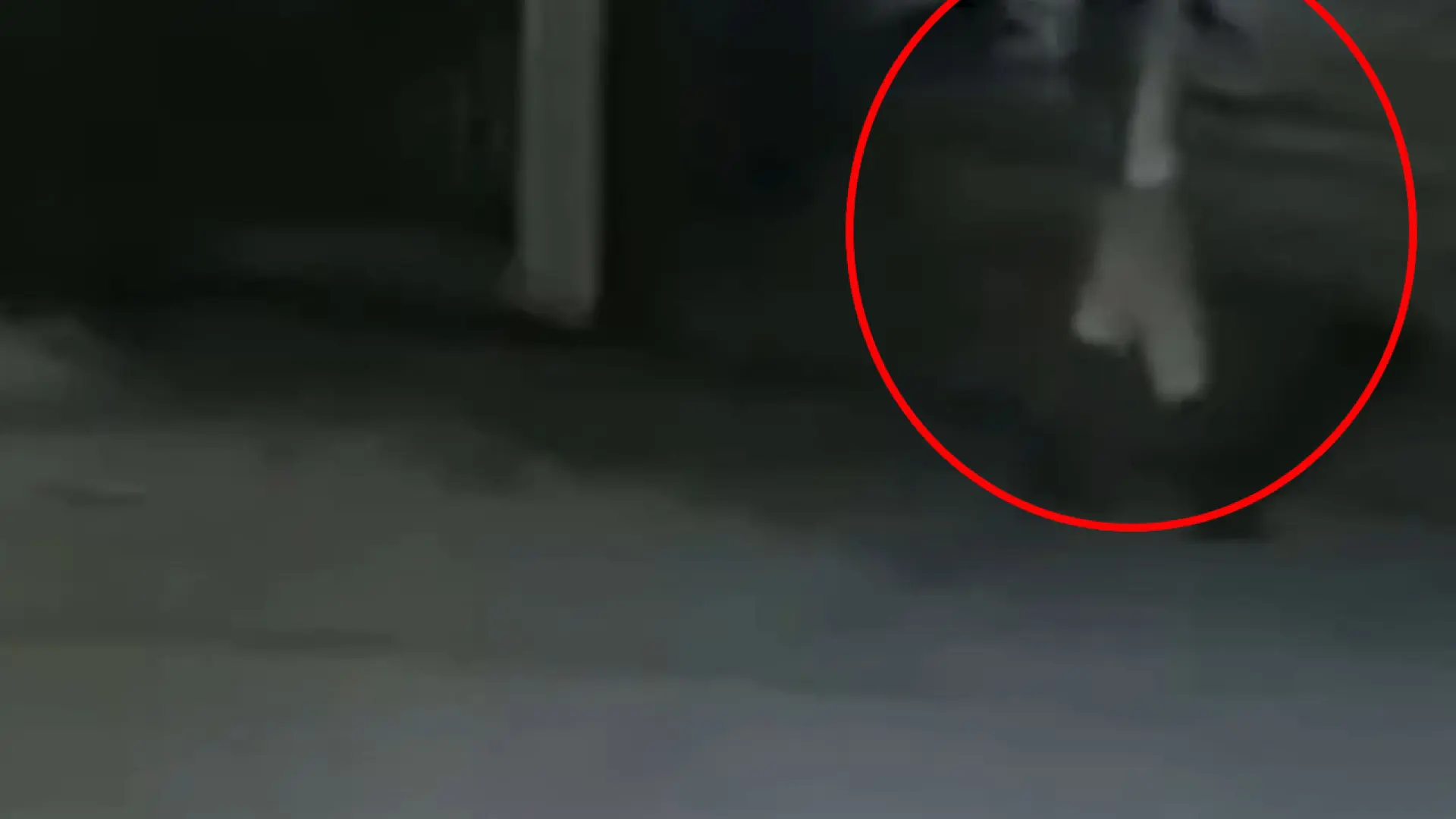 Una cámara de seguridad grabó al presunto asesino de la estudiante española Claudia Tacoronte en México