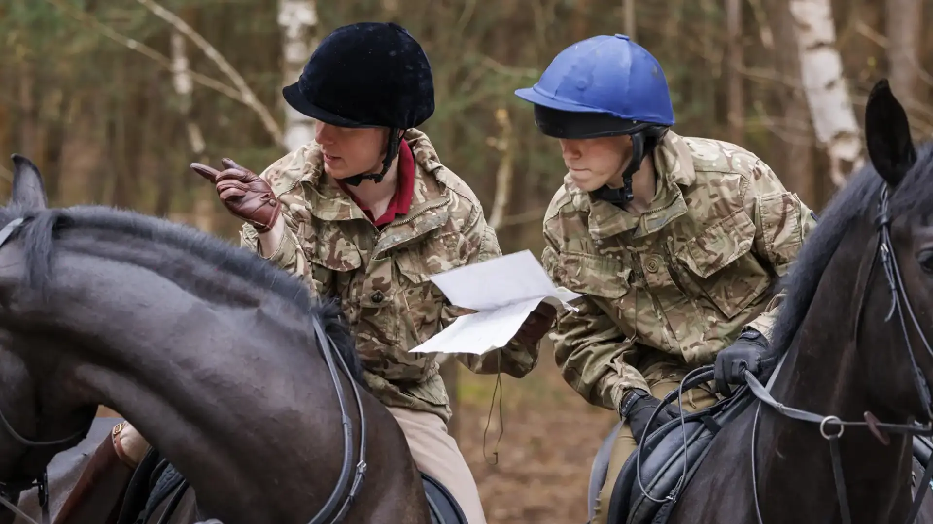 El ejército británico recupera el uso de caballos en operaciones militares para combatir el auge de los drones
