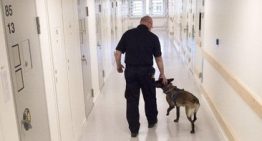 Detenido en Alemania un sicario holandés de 13 años contratado en una red social