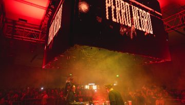 De la discoteca al sello: la nueva apuesta de Perro Negro con el reguetón