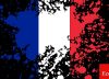 El centro francés tiene una pregunta: ¿quién puede vencer a Marine Le Pen?