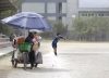 La incursión criminal de las mafias chinas en Chiapas devasta la fauna autóctona