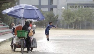 La incursión criminal de las mafias chinas en Chiapas devasta la fauna autóctona