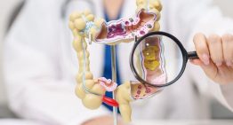 El intestino produce alrededor del 90% de la serotonina del organismo: qué significa este dato y otras curiosidades