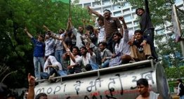Las 'cucarachas' de la India exigen la dimisión del presidente de la Comisión Electoral por presuntas irregularidades