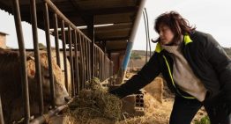 Expertos en sanidad animal piden reforzar la vigilancia sobre el virus de shamonda y rastrear nuevos casos