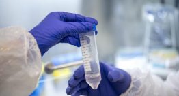 Europa estudia los límites de un futuro con bebés a la carta y ADN humano diseñado por inteligencia artificial