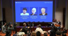 Nobel de Medicina para los padres de la optogenética, que permite demostrar como las neuronas influyen en la memoria o las emociones